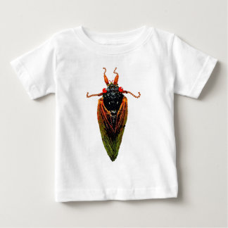 Cicada
