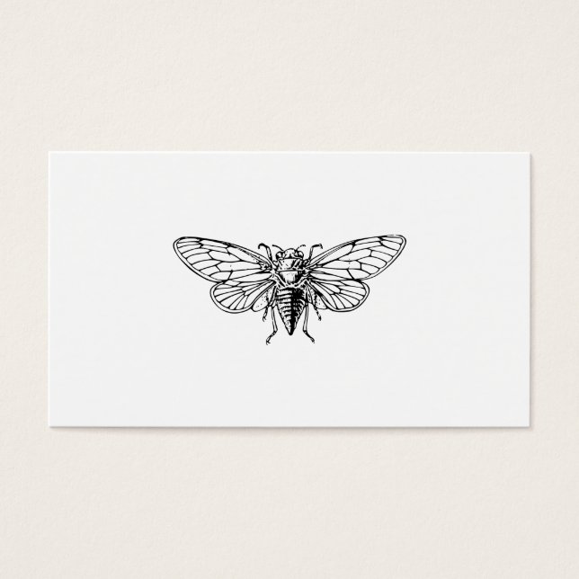 Cicada (Devant)