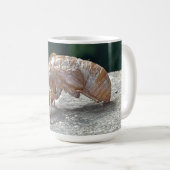 Cicada 15oz. Mug (Devant droit)
