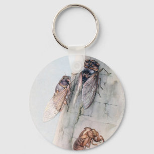 CICADA 2 SLEUTELHANGER