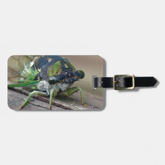Cicada Bagagelabel (Voorkant horizontaal)