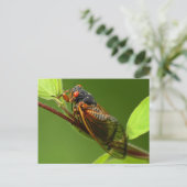 Cicada Briefkaart (Staand voorkant)
