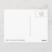 Cicada Briefkaart (Achterkant)