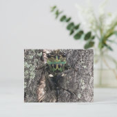 Cicada Briefkaart (Staand voorkant)
