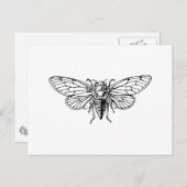 Cicada Briefkaart (Voorkant / Achterkant)