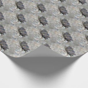 Cicada Bug Face Natuur Pattern   Cadeaupapier