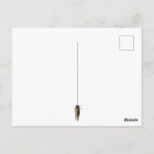 Cicada Bug Insect Foto Aangepast bericht Briefkaart (Achterkant)