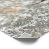 Cicada Bug Van dichtbij Insect Poster (Hoek)