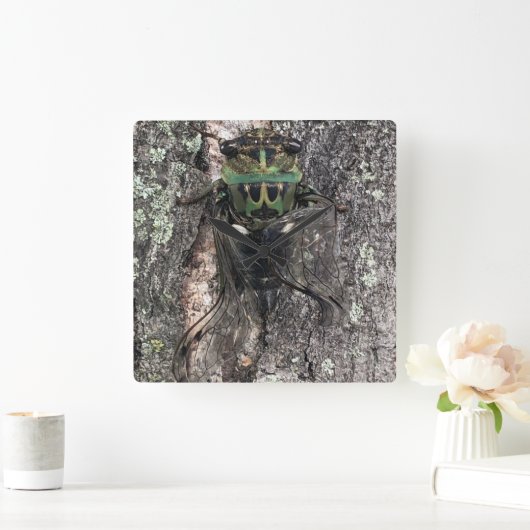 Cicada Clock Vierkante Klok (Huis)