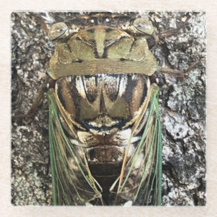 Cicada Glazen Onderzetter