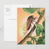 Cicada Insect Illustration Art Briefkaart (Voorkant / Achterkant)