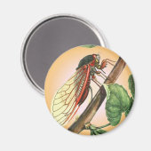Cicada Insect Illustration Art Magneet (Voorkant / Achterkant)