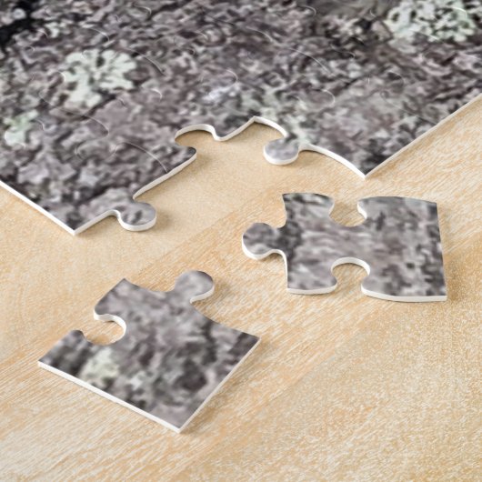 Cicada Jigsaw Puzzle (Côté)