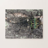 Cicada Jigsaw Puzzle (Horizontal)