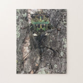Cicada Jigsaw Puzzle (Vertical)