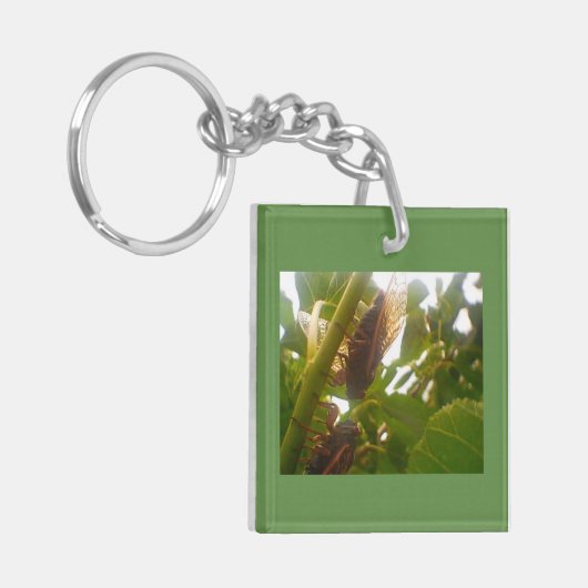Cicada Locust Sleutelhanger (Voorkant Links)
