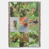 Cicada Mania jeter la couverture (devant Vertical)