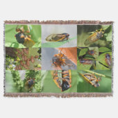 Cicada Mania jeter la couverture (Devant)