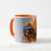 Cicada Mania Magicicada Orange Mug (Devant gauche)