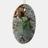 Cicada over de muur keramisch ornament (Rechts)