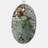 Cicada over de muur keramisch ornament (Links)