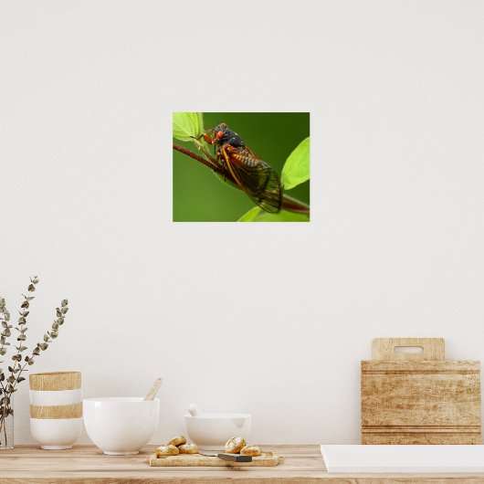 Cicada Print (Keuken)