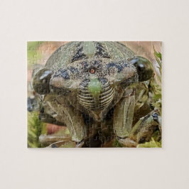 Cicada puzzle legpuzzel