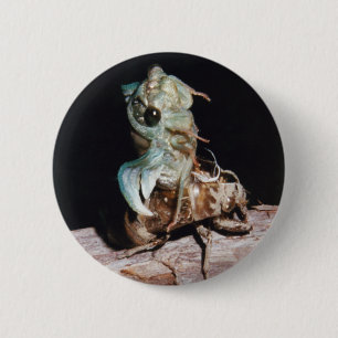 Cicada Ronde Button 5,7 Cm