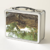 Cicada shell. Het was haast. (Achterkant)