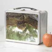 Cicada shell. Het was haast. (In situ)