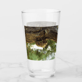 Cicada shell. Het was haast. Glas