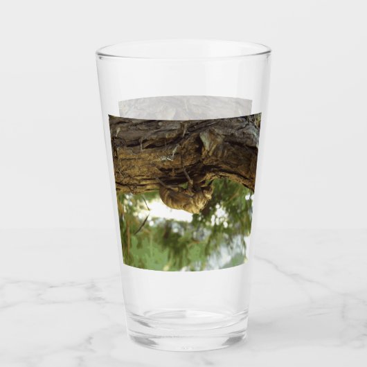 Cicada shell. Het was haast. Glas (Voorkant)