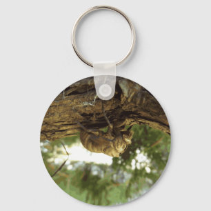 Cicada shell. Het was haast. Sleutelhanger