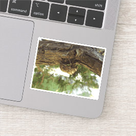 Cicada shell. Het was haast. Sticker