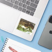 Cicada shell. Het was haast. Sticker (Laptop met iPhone)