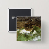 Cicada shell. Het was haast. Vierkante Button 5,1 Cm (Voorkant /achterkant)