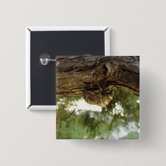 Cicada shell. Het was haast. Vierkante Button 5,1 Cm (Voorkant /achterkant)