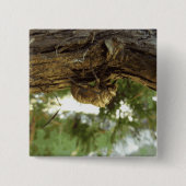 Cicada shell. Het was haast. Vierkante Button 5,1 Cm (Voorkant)