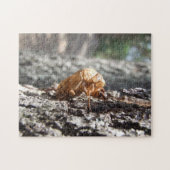 Cicada Shell Puzzle Legpuzzel (Horizontaal)