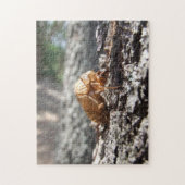 Cicada Shell Puzzle Legpuzzel (Verticaal)