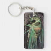 Cicada Sleutelhanger (Voorkant)