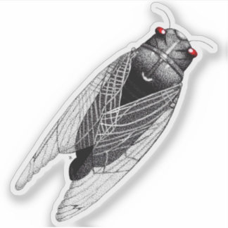 Cicada Sticker
