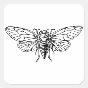 Cicada Vierkante Sticker