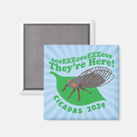 Cicadas 2024 Ze zijn hier Magneet (Voorkant / Achterkant)