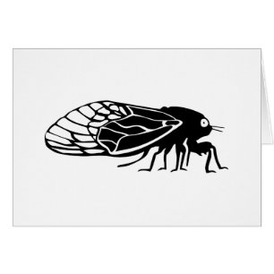 Cicadas - Cigales - Magicadas - Summer Buzz