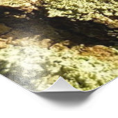 Cicadelle attrapée - Impression photo (Coin)