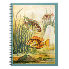 Cichlid Fish Notitieboek