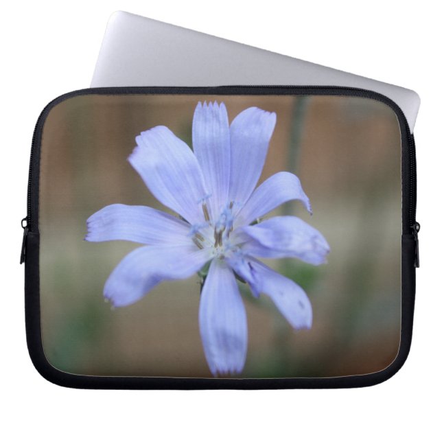 cichorei laptop sleeve (Voorkant)