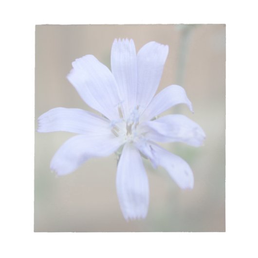 cichorei notitieblok (Voorkant)