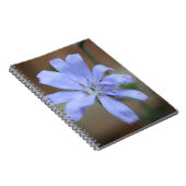 cichorei notitieboek (Rechterzijde)